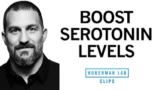 How to Improve Serotonin Levels for Depression | Dr. Andrew Huberman