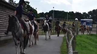 Hacking Experience at TPEC