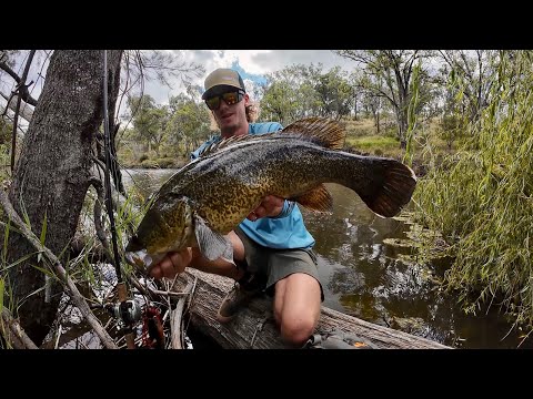 Exploring new water chasing Murray cod. ( Murray cod fishing Australia).
