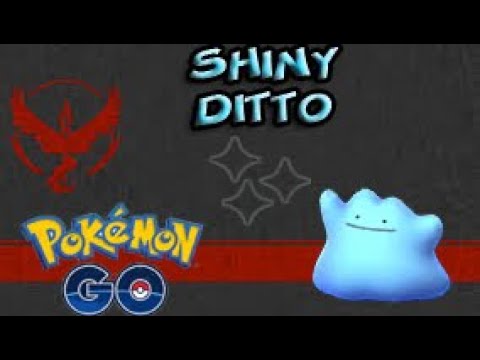 Pokémon Go - Shiny Ditto Encounter (Pokédex # 132)