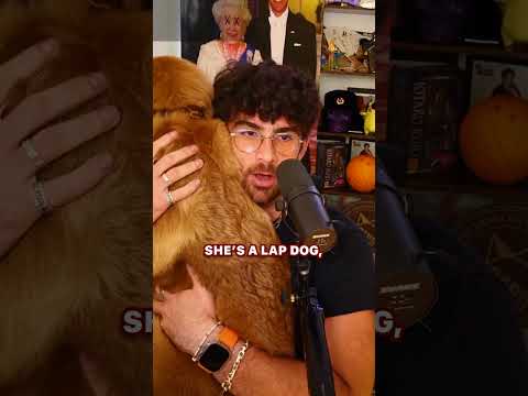 MY DOG IS TOO BIG