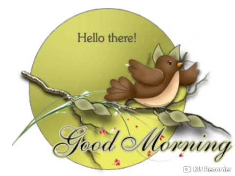 Good morning