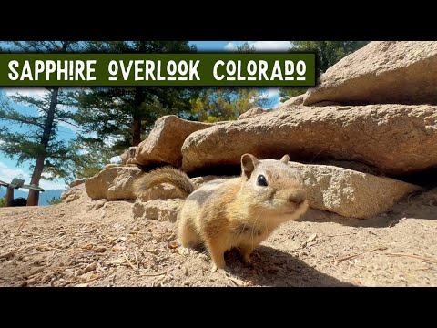 Up Close & Personal With Critters At Sapphire Overlook Trail | Nature Channel
