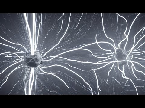 Breakthrough Solar Energy Bacteria To Power Clean Energy Solar System