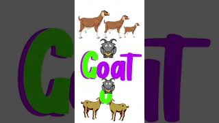 Learn to Spell GOAT!  Fun & Quick Educational Short for Kids!