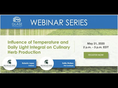 The influence of temperature and daily light integral on culinary herb production