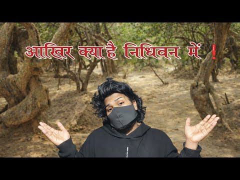 VLOG #16 ''A MYSTERY OF NIDHIVAN 😮 "निधिवन का रहस्य जिसे कोई नहीं जानता"