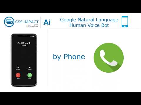 CSS IMPACT Google Ai