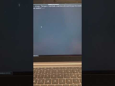 How to fix audio problems on your Linux Chromebook (30 second fix) #shorts