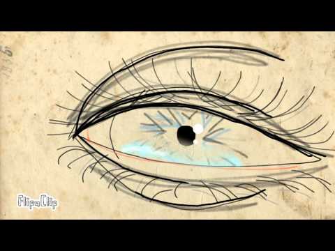 Eyemotion