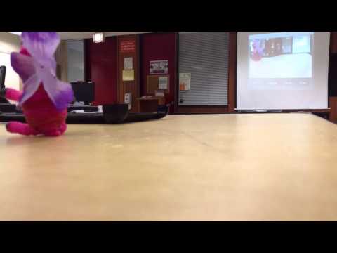 iMotion HD Demo at SETConnections