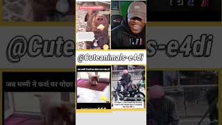 cute animals funny video trending shorts 😍PT-174 #cuteanimalsfunnyvideos​ #funnycomedyshorts #funny