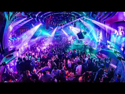 🎉 Música de Antro Circuit Remix 🎉 Thalia, Gloria Trevi, Danna Paola, Playa Limbo | Sesión 005