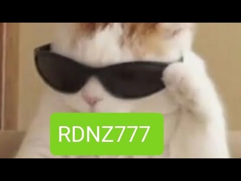 🔴MOSTRANDO UM POUCO DA CDD (vídeo rápido rpzd mais obd por assistir❤)🔴