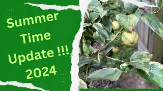 Summer Citrus Update 2024!