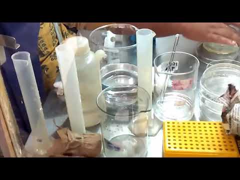 Serial dilution of bacterial sample and Spread plating part 2