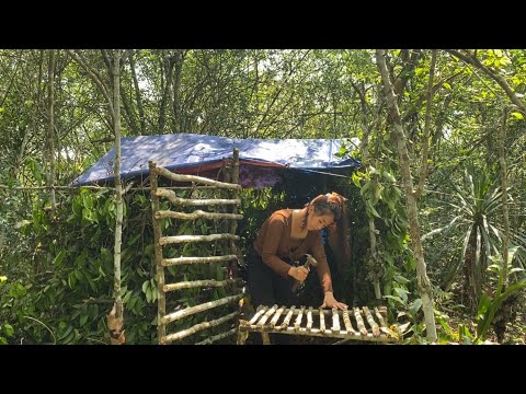 Girl builds shelter in the forest - Wild chicken trap - 3 days of survival