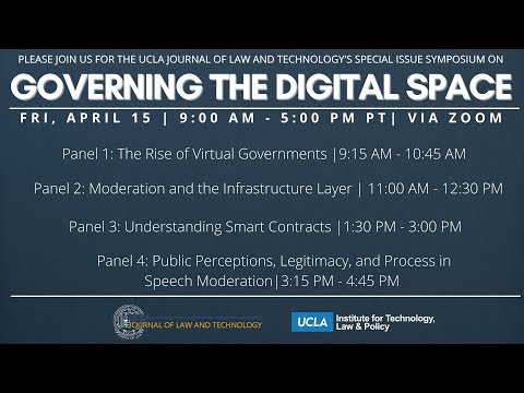 Governing the Digital Space - The Rise of Virtual Governments