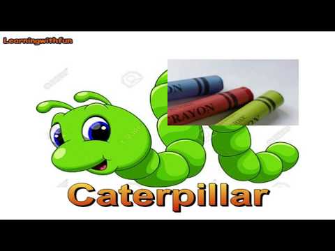 Letter C Vocabulary Words|Best Way To Increase Your Child's Vocabulary