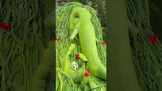 PulGalli Talim Mandal Cha Ganapati Kolhapur #ganeshchaturthi2025 #kolhapur #ganeshutsav #ganesh