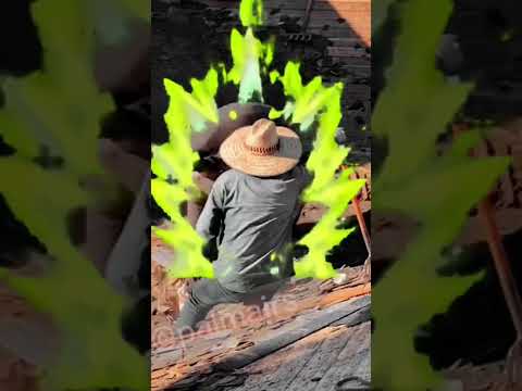 Mexican power roofers