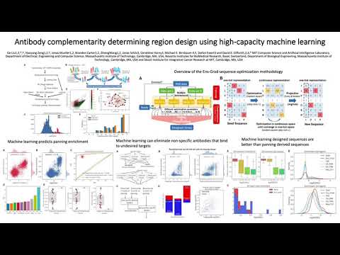 Antibody complementarity determining region design using high-capacity machine learning