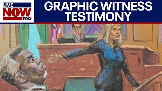 Diddy trial: Graphic 'freak-off' details as first witnesses testify | LiveNOW from FOX