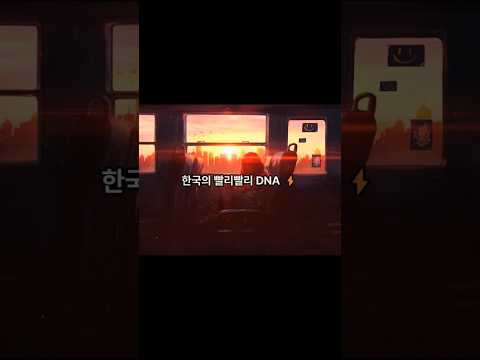 한국의 빨리빨리 DNA ⚡ #빨리빨리 #한국DNA #K라이프 #한국생활 #한국문화 #초고속배송 #세계최강인터넷 #한국여행 #한국일상 #서울라이프