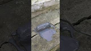 Water Proof 🚫 Process 💦 #waterproofing  easily solve problem #short #shorts