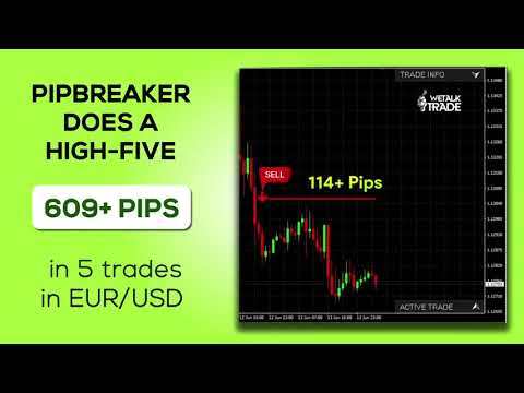 The Best Forex Indicator Strategy In A Pack For You [Get Assured Pips]