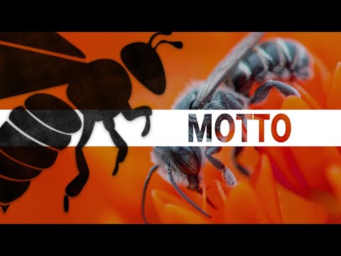 After Effects Audio Spectrum (No Plugins) - Logo, Particles and Light [Audio Reaction]