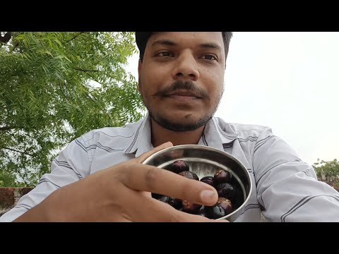 New vlog 😍 | village life style|desi vlog 🌞❤️❤️|funny video 🤣🤣🤣🤣