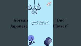 “They Sound Identical… But Mean WHAT?! 😲🇰🇷🇯🇵” #shorts #shortvideo  #studyblossom #aestheticstudy