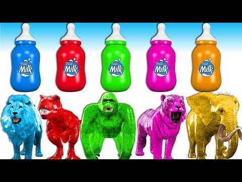 Learn Colors With Milk Bottles For Kids - Learn Wild Animals Names & Sounds | Finger Family Songs