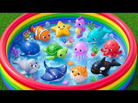 Sea Animals for Kids | Underwater Creatures & Sea Friends | Educational Videos for Toddlers