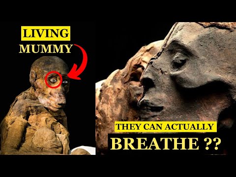 Egypt's Most Unusual Mummy Discoveries Revealed | 3000 Years Old Hidden Treasure Found.