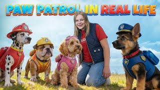 Assistant Presents What PAW Patrol Looks like In REAL LIFE! 🐶