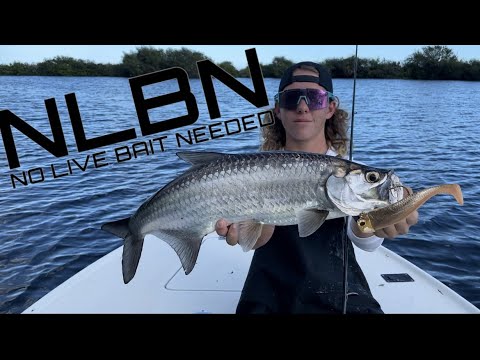 THE BEST LURE FOR THE BANANA RIVER!!!!!!!!!!!!