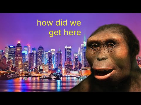 Evolutionary Mismatch: why we don't belong in this world