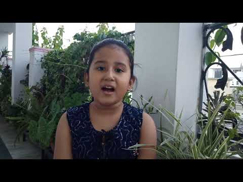 भालू ने खेली फुटबॉल