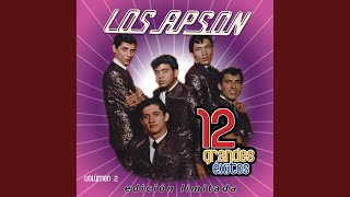 Satisfacción - Satisfaction -