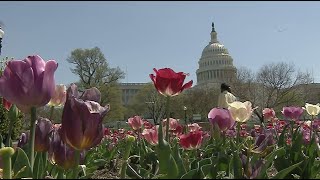 Watchdog group says federal spending is wasting $14 billion in earmarks