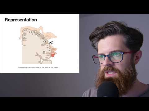 Representations in the brain