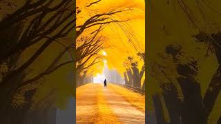 Walk Away | #Life | Inspiring Vibes | Paulo Coelho #motivation  #believe  #quotes #inspiringvibes