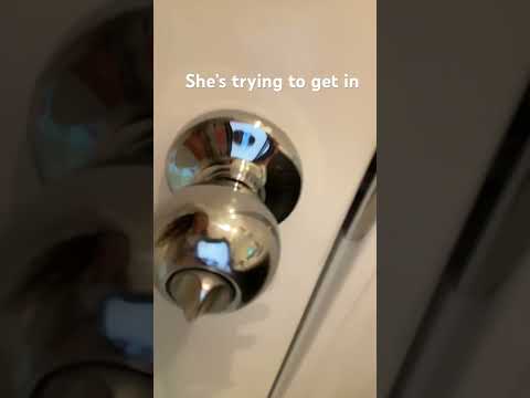 Lol she’s mad and trying to get in