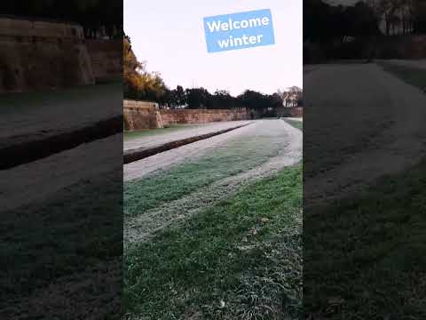 Welcome winter #animals #christmas #winter