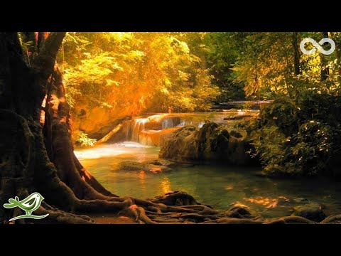 Relaxing Music 24/7, Sleep Music, Calm Music, Deep sleeping music, relaxing, Calming