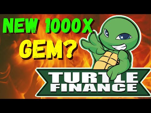 TURTLE FINANCE! How to Buy TURF Token? (Updated METHOD)