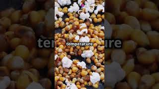 Popcorn Science   The Explosive Truth! #quickscience #facts #learningscience #stem #funfacts