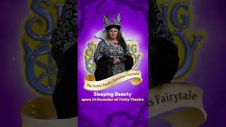 Sleeping Beauty - Perfect Family Pantomime